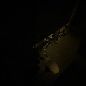 Meet your Posher, Tsering